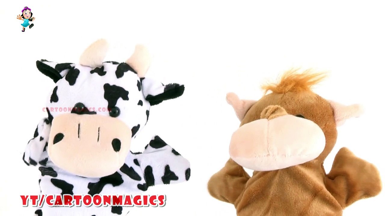 Itsy Bitsy Spider Incy Wincy Spider - Funny Cattle cow - Hippopotamus puppets children rhymes Kids Songs