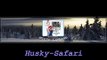 Lapland Adventure Trip - Husky-Safari