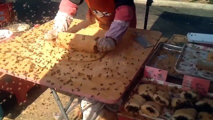 Chinese Street Food Adventures  Bee Mochi! モチ 麻糬 máshu