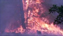 Un pompier tué dans les incendies qui ravagent la Californie