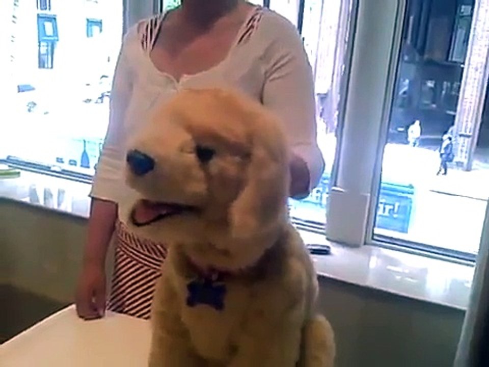 Furreal Friends Biscuit