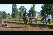 Mo - Hunter/Jumper Schooling Show 4/25/09 - Pleasure Class