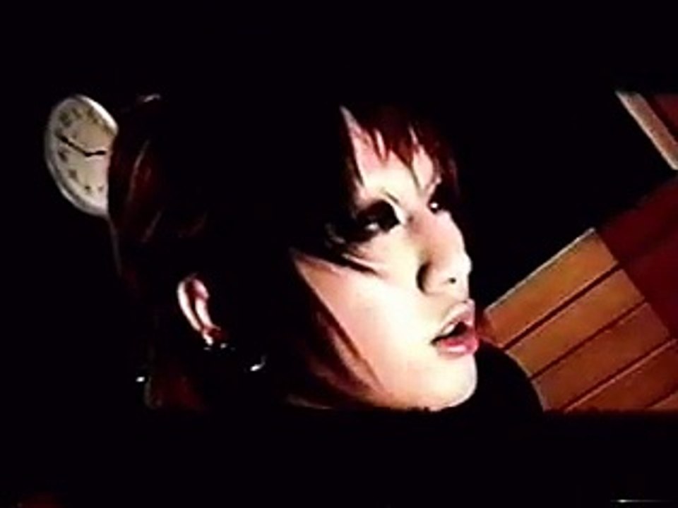 The Gazette - Shiawase na Hibi