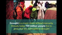 Food insecurity and climate change