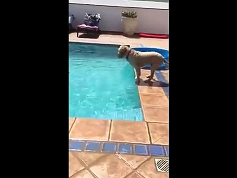 La pallina