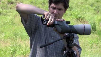 Digiscoping with the Vortex Razor HD