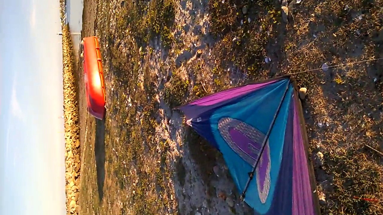 Cerf volant à La Forêt-Fouesnant 01 08 2015 #5