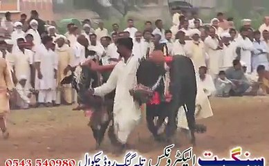 jalsa saien muhammadi mureed chakwal 2015