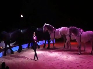 Circus Nock 2013 - Pferde by Franziska Nock