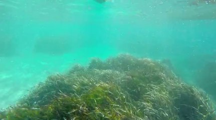 Série d'été BFMTV : Île Sainte-Marguerite