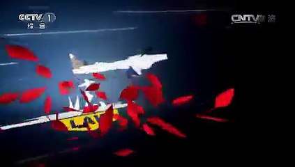 《今日说法》 20150802 双重身份