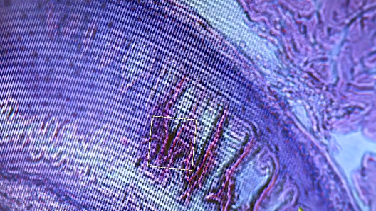 Information for academics - Barts Cancer Centre