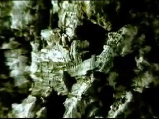 BOHREN & DER CLUB OF GORE - Midnight Black Earth