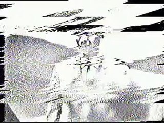 Freddy Cannon - Palisades Park