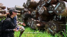Greenpeace doet onderzoek naar illegaal hout in Congo