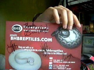 My new baby ball python :D