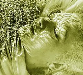 It's Wrong For Me to Love You - Pia Zadora ( Ennio Morricone ) from Butterfly