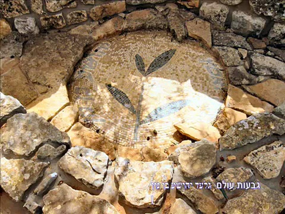 גבעות עולם 2010