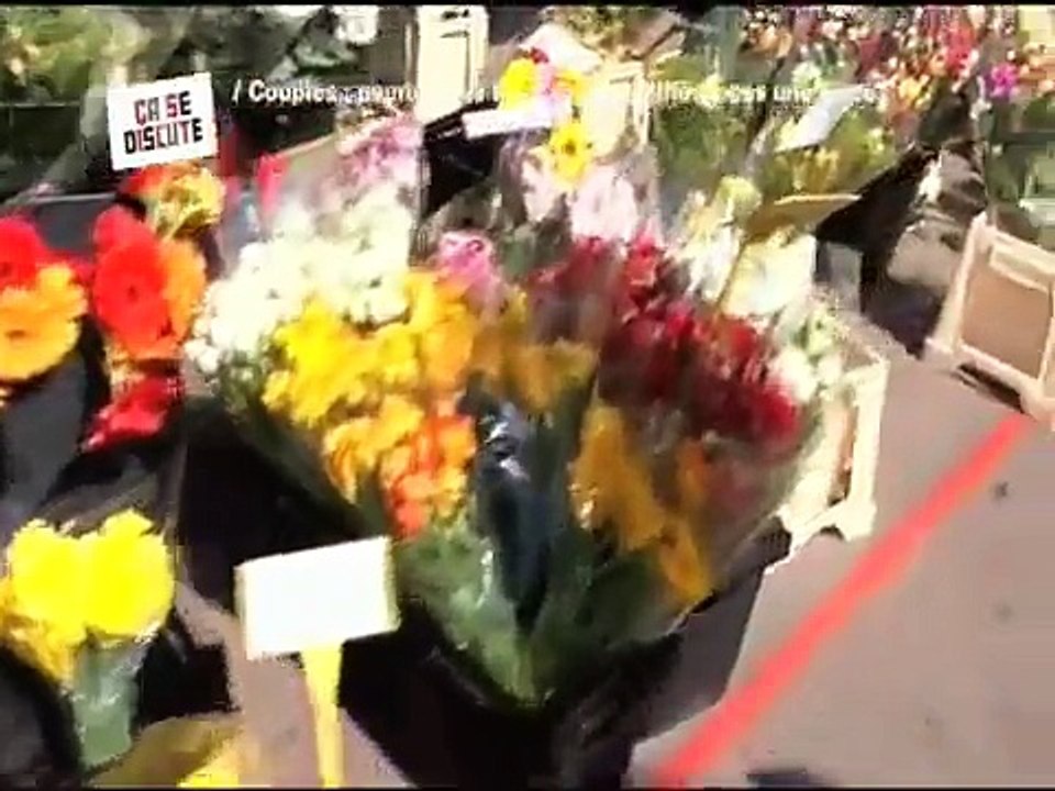 REPORTAGE : Couple atypique, stéphane stephanie amour, taille difference,  ça se discute