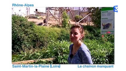 Le Zap des Régions : Le Zap des régions