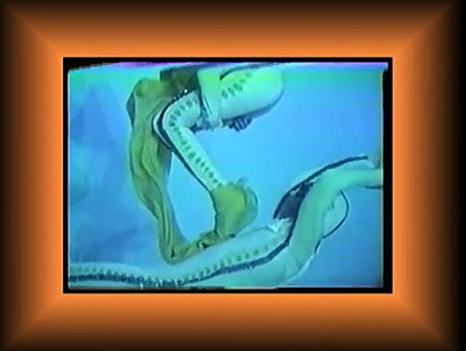 Brent Holland -- Underwater Dance Troupe "H30"-Aquarium