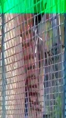 VID-20150711-WA0065.mp4
