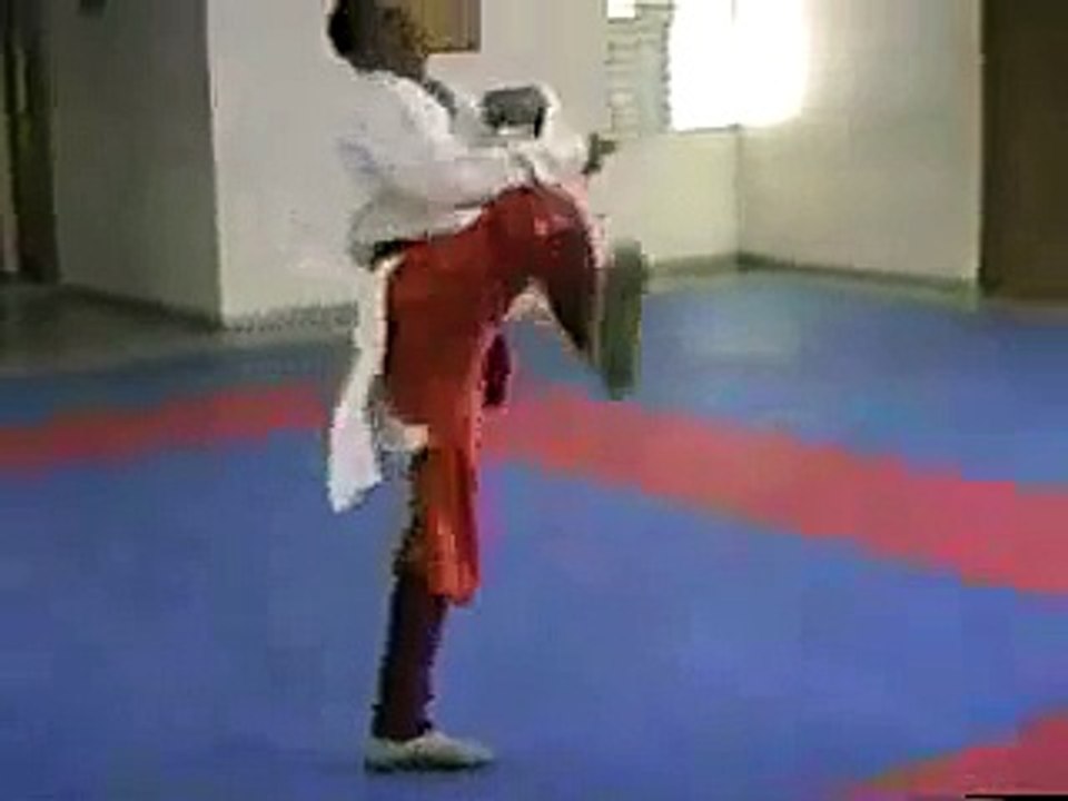 Kung Fu Shaolin Ebrio Drunken Boxing Dominicano