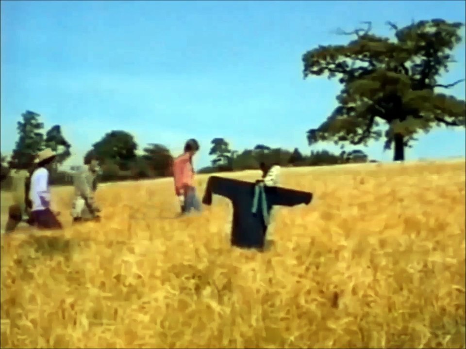 Pink Floyd - Anisina