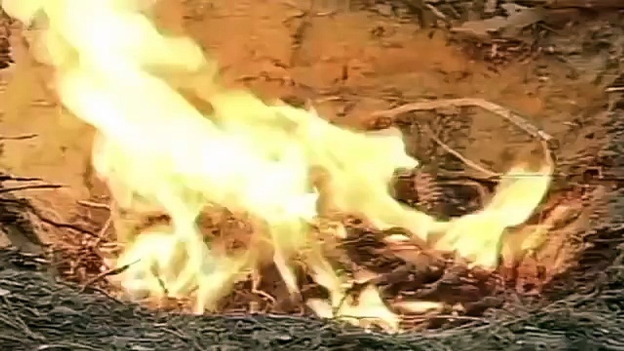 ملفات مكتب التحقيقات الفيدرالي جريمة قتل راعي البقر