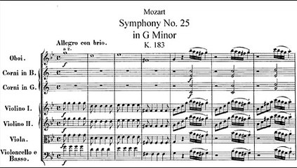 Mozart - Symphony no.25 (1st mvmt)