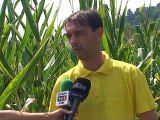 Selo moje, 02. avgust 2015. (RTV Bor)