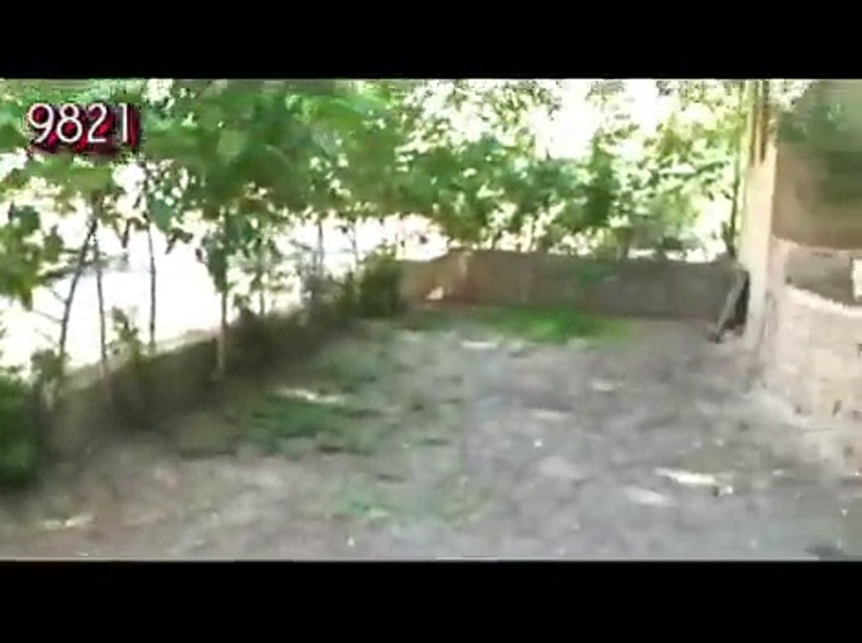 Iran " بيا بريم شمال " Shomal