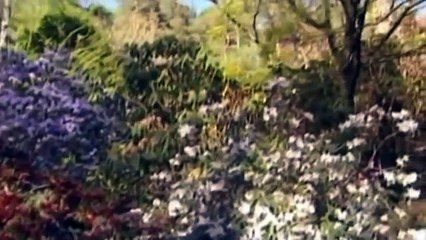 Les Grands Reportages: Et si le Gulf Stream s'arrêtait?