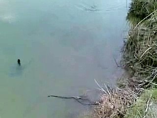 EVENTO SUL PIANETA LISERT (PORTO BUSO)!