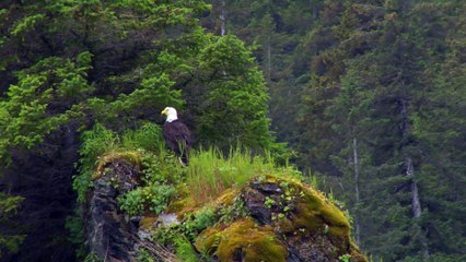 Stunning & Surprising Images from National Parks