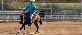 Awesome Reining Horses - Out West