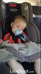 Funny wakes up a Baby