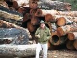 Third world logging -- destroying water catchment