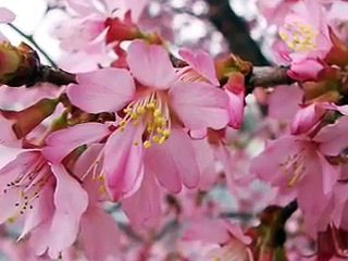 Beyond Elementary Puberty Education