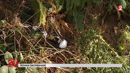 Morbihan : quatre morts et dix blessés dans un accident de la route