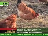Global Pulse - 05/15/08: Bird Flu, The Next Asian Disaster?