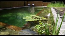 Installation d'une piscine naturelle Bioteich