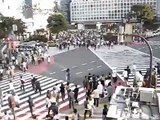 Shibuya Crossings - Lost in Translation