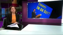 Channel 4 analyses Great Britain's EU referendum in/out camps....