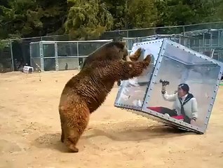 Girl Tests a Predator Shield Using An Angry Grizzly Bear