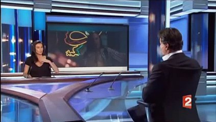 Marie Drucker interview Sylvester Stallone au journal de France 2