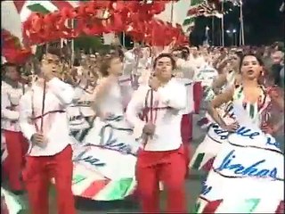 São João da Vila 2008-Marcha Juventude Ponta Garça