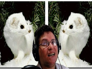 Plantas e Gelo? Tundra? | Mega Man Raiz de -1 #11