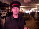 Tom Green - Milking is the law