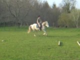 Galop trot